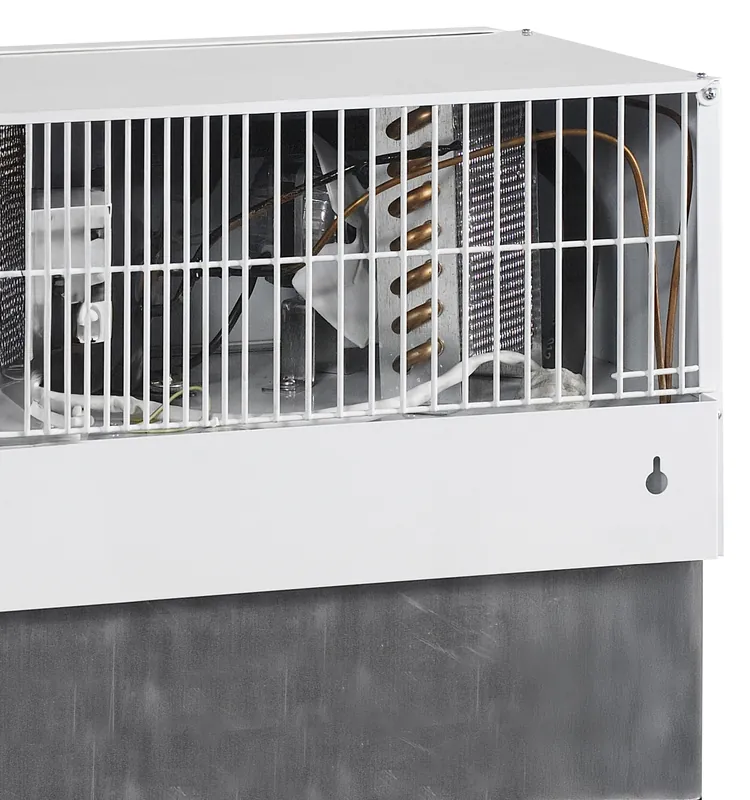 Tefcold Expositor refrigerado FSC100 - Refrigeradores de encimera - imagen 3