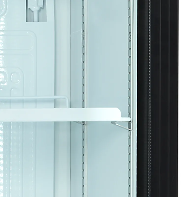 Tefcold Enfriador de botellas FS176H - Armarios expositores - 1 puerta - imagen 2
