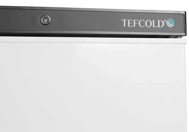 Tefcold Congelador de almacenamiento UF400 - Armarios de servicio - imagen 3
