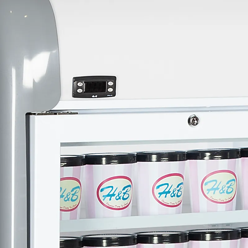 Tefcold Congelador de pared MTF Mini - Congeladores de supermercado - imagen 4