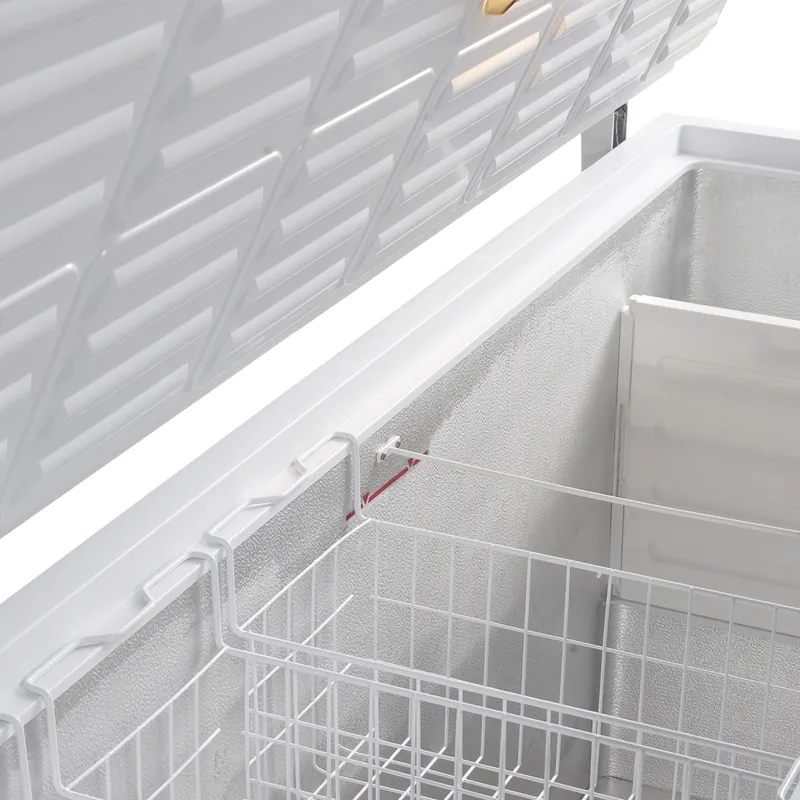 Tefcold Congelador para helados FR505S SL - Congeladores horizontales - imagen 2