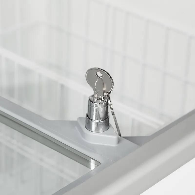 Tefcold Congelador para helados IC301SC - Congeladores para helados - imagen 4