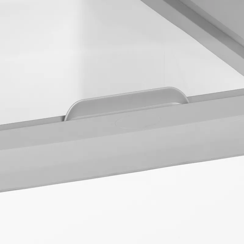 Tefcold Congelador para helados IDC152-W1 - Congeladores para helados - imagen 3