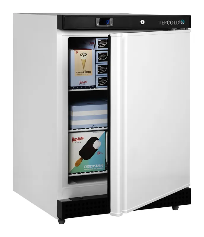 Tefcold Congelador de almacenamiento UF200V - Armarios de servicio - imagen 2