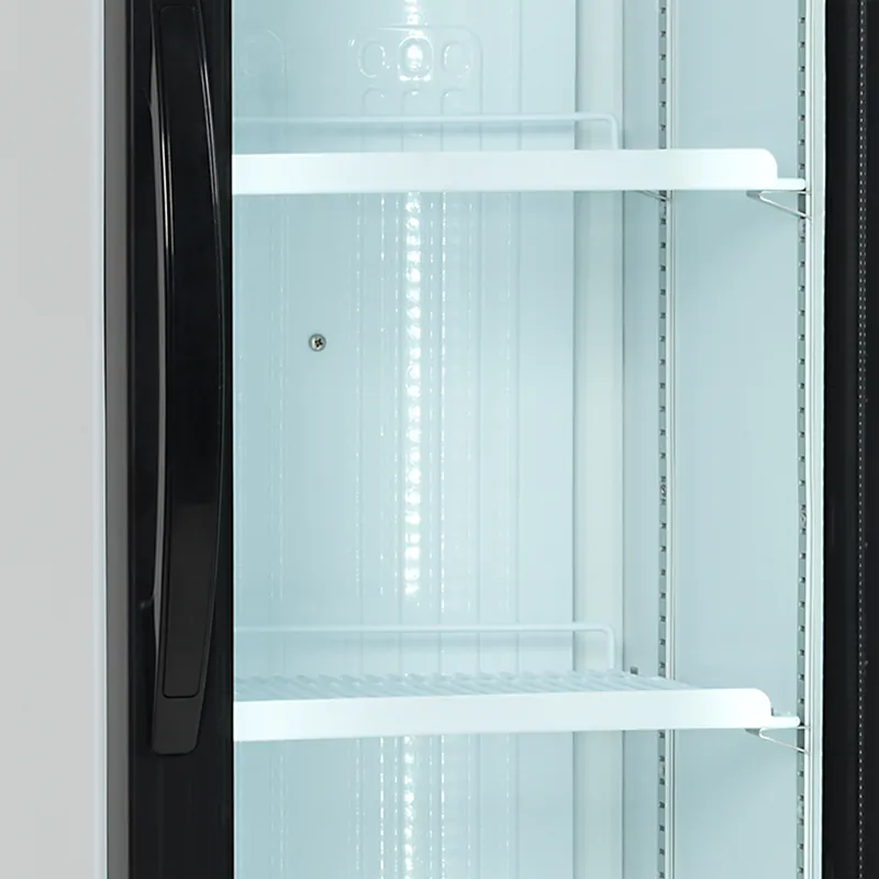 Tefcold Enfriador de botellas FS176H - Armarios expositores - 1 puerta - imagen 3