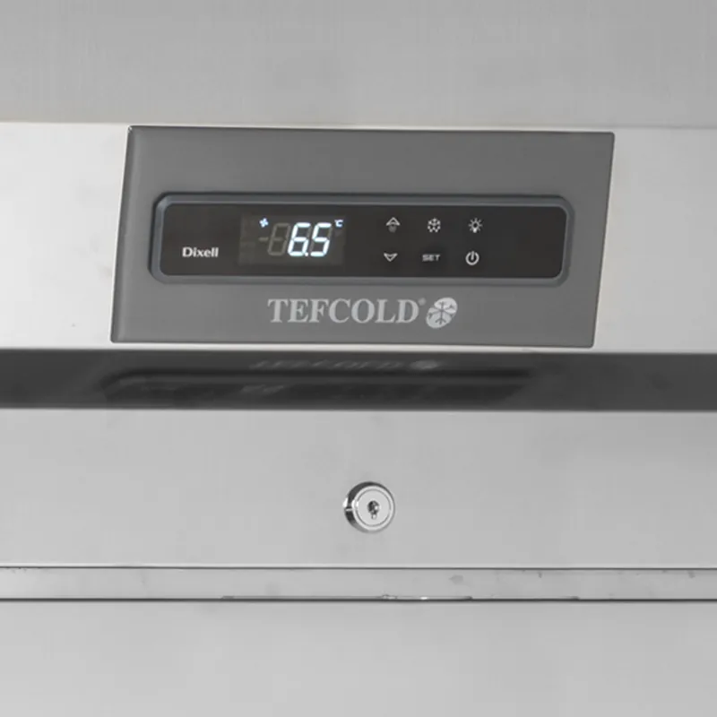 Tefcold Refrigerador vertical RK1010 - Armarios de servicio - imagen 3