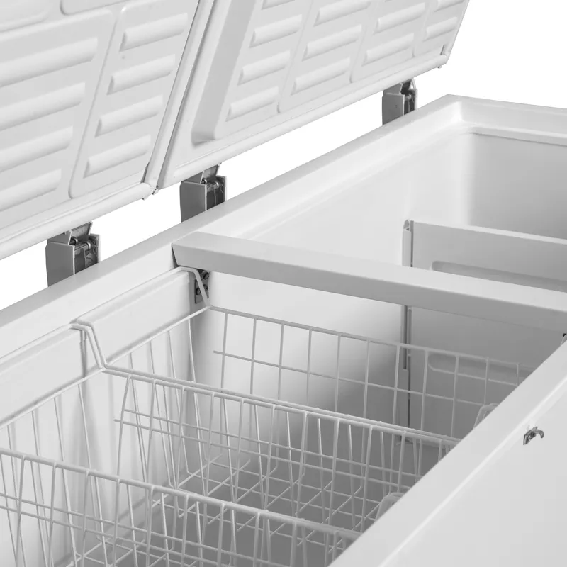 Tefcold Congelador para helados FR606S SL - Congeladores horizontales - imagen 3