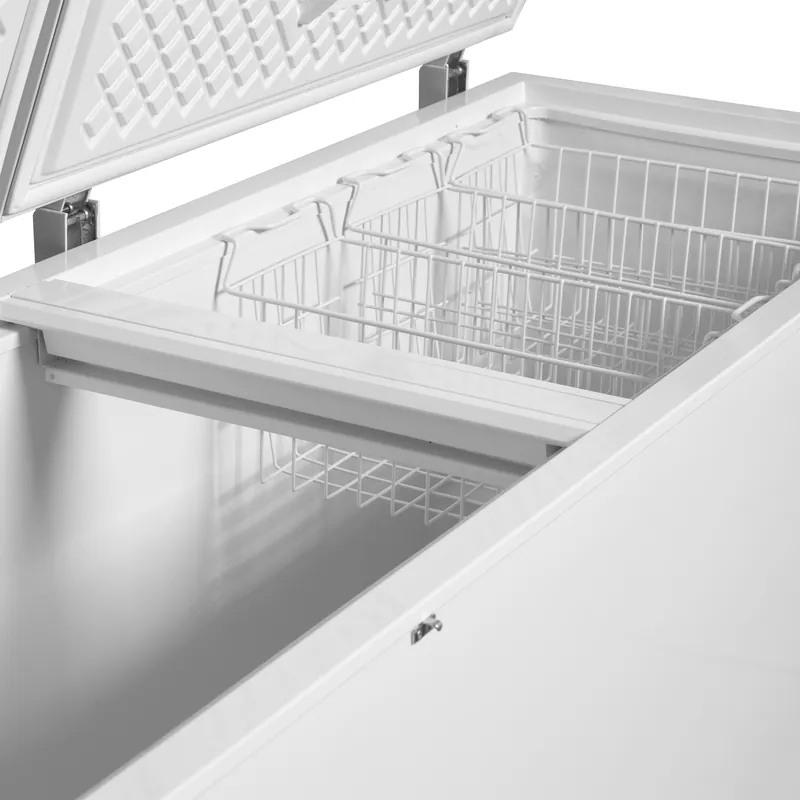 Tefcold Congelador para helados CF701S SL - Congeladores horizontales - imagen 3