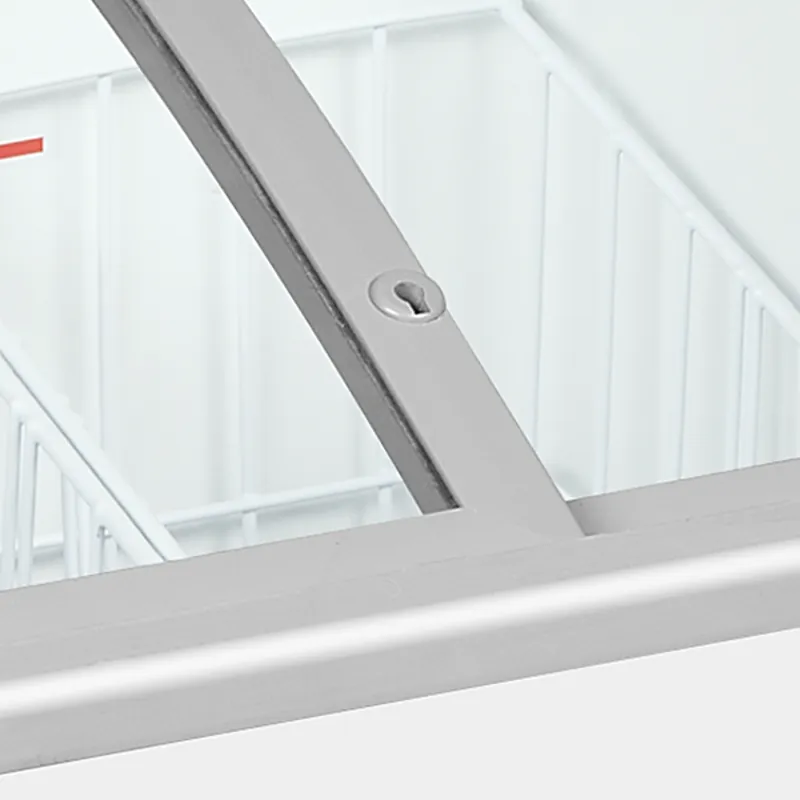 Tefcold Congelador para helados IC101SCEB LED - Congeladores para helados - imagen 4