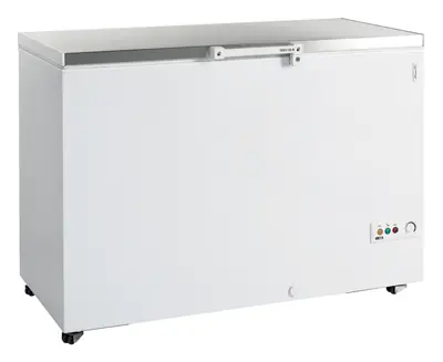 Tefcold Congelador para helados FR405S SL - Congeladores horizontales