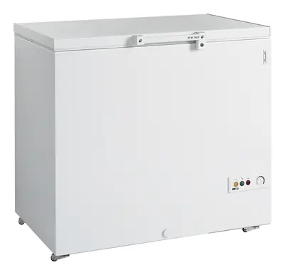 Tefcold Congelador para helados FR305 SL - Congeladores horizontales