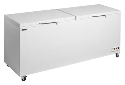 Tefcold Congelador para helados CF701 SL - Congeladores horizontales
