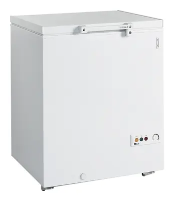 Tefcold Congelador para helados FR205 SL - Congeladores horizontales