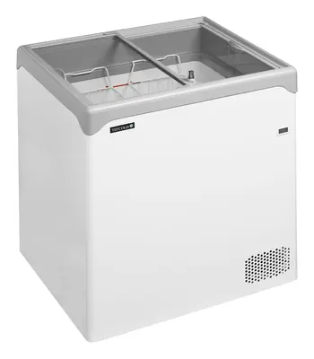 Tefcold Congelador para helados NIC201SC - Congeladores para helados